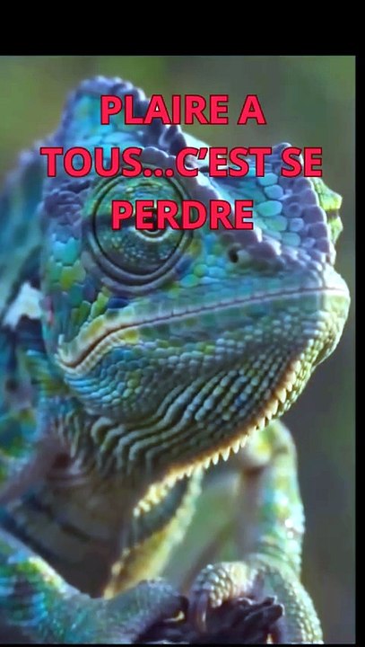 CONTE AFRICAIN : PLAIRE A TOUS...C'EST SE PERDRE