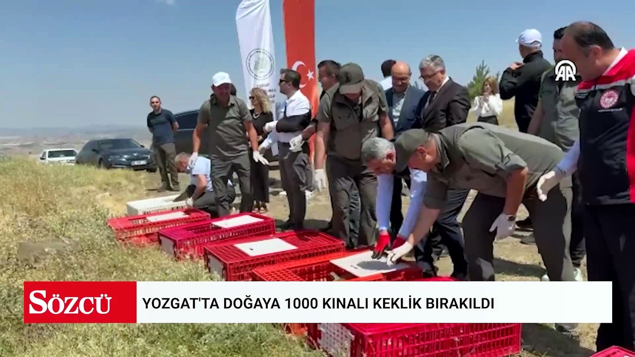 Yozgat'ta doğaya 1000 kınalı keklik bırakıldı