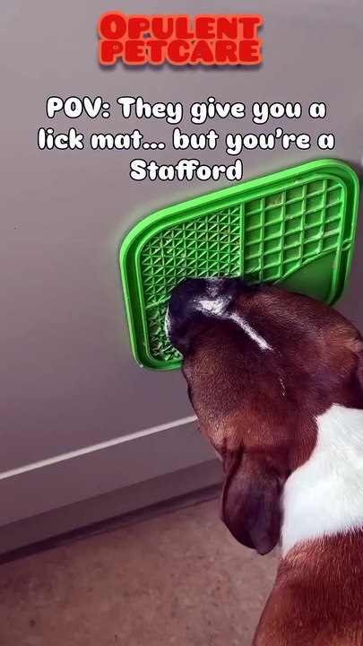 Silicone Slow Feeder Mat for Dogs – Suction Cup Lick Mat for Anxiety & Slow Eating