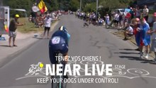 Keep your dogs under control. - Stage 16