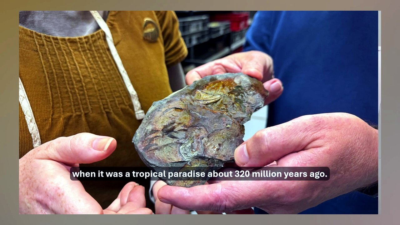 Prehistoric Leeds fish fossil unearthed in Roundhay Park