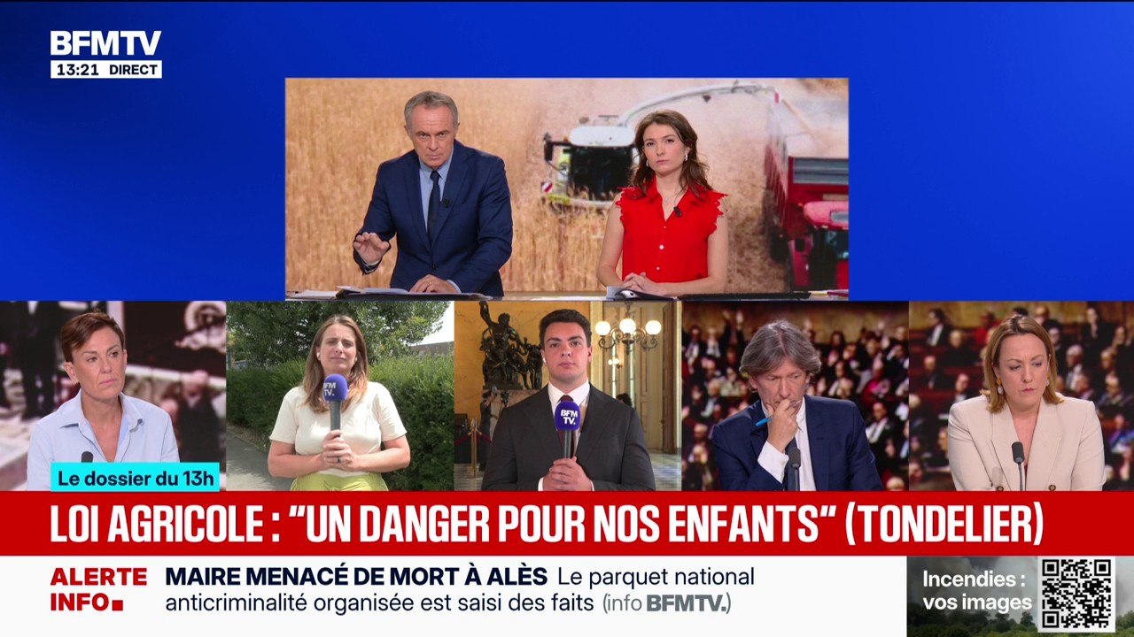 Loi d'urgence agricole: "la ministre de l'Agriculture doit démissionner", exige Marine Tondelier, secrétaire nationale des Écologistes