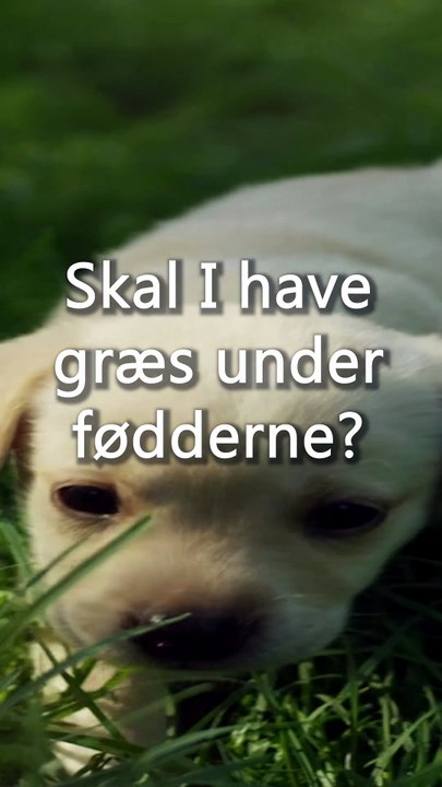 Tid til at flytte i nyt?