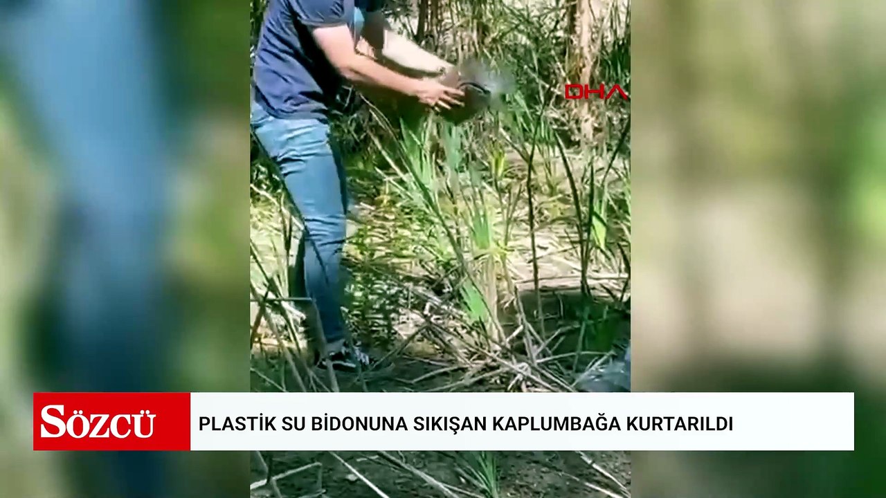 Plastik su bidonuna sıkışan kaplumbağa kurtarıldı