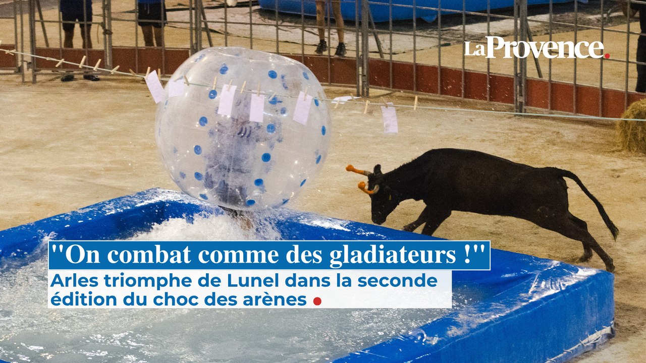 "On se bat comme des gladiateurs !" : un deuxième choc des  arènes deux fois plus déjanté à Arles