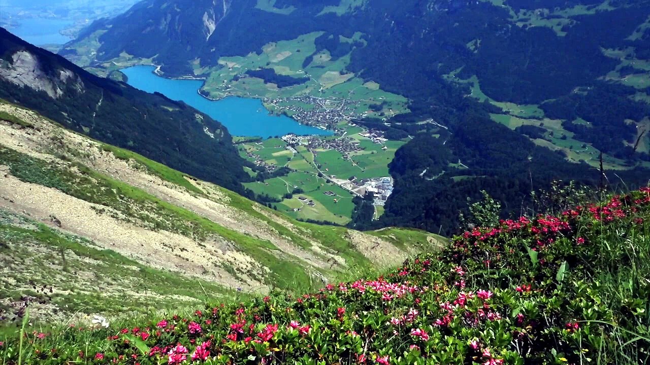 Détente Anti Stress _ Musique Relaxante de Montagne pour le Sommeil et le Calme Intérieur