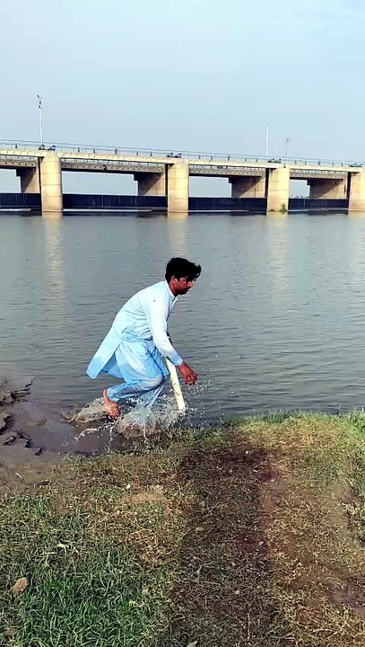 پانی میں ناگ