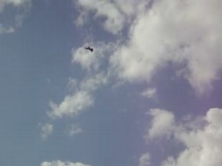 F-16 Solo display(Defensiedag 2008)(Miika-vii0n.skyrock.com)