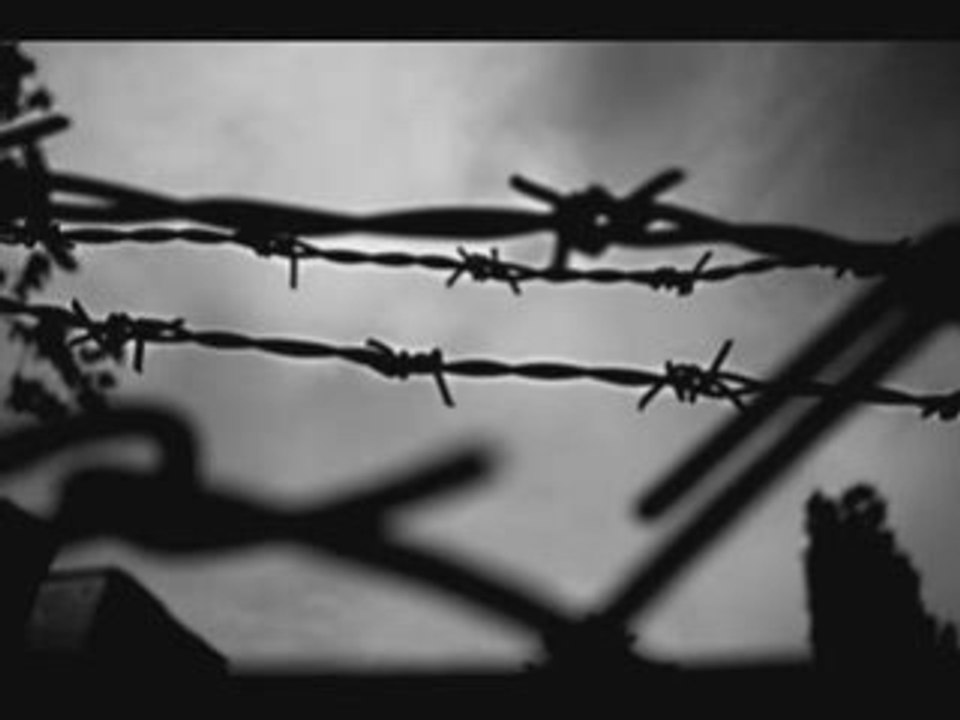 Mercan Dede & Ceza - 800