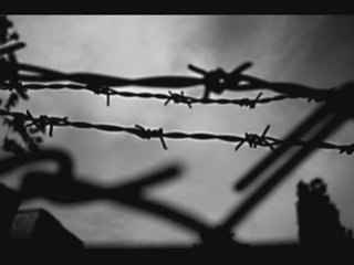 Mercan Dede & Ceza - 800