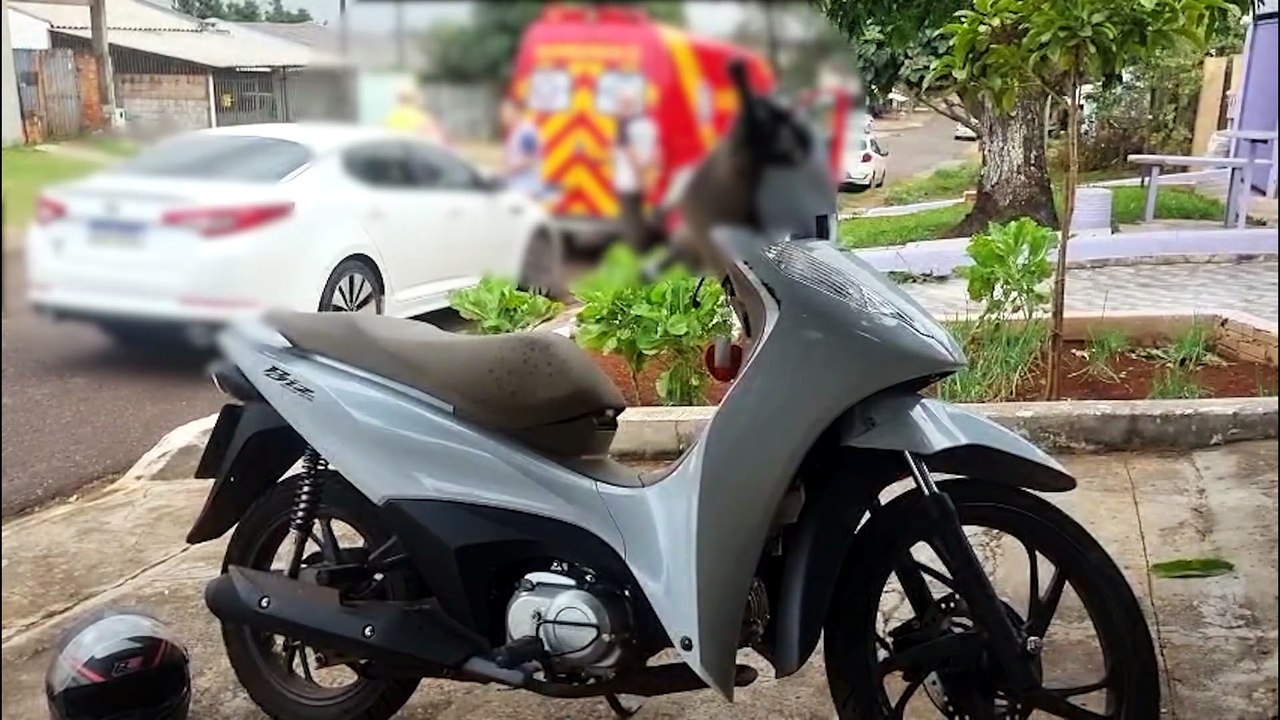 Motociclista sofre acidente após cachorro atravessar a rua repentinamente no Floresta