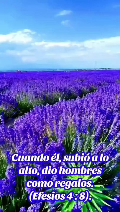 Reflexiones Bíblicas