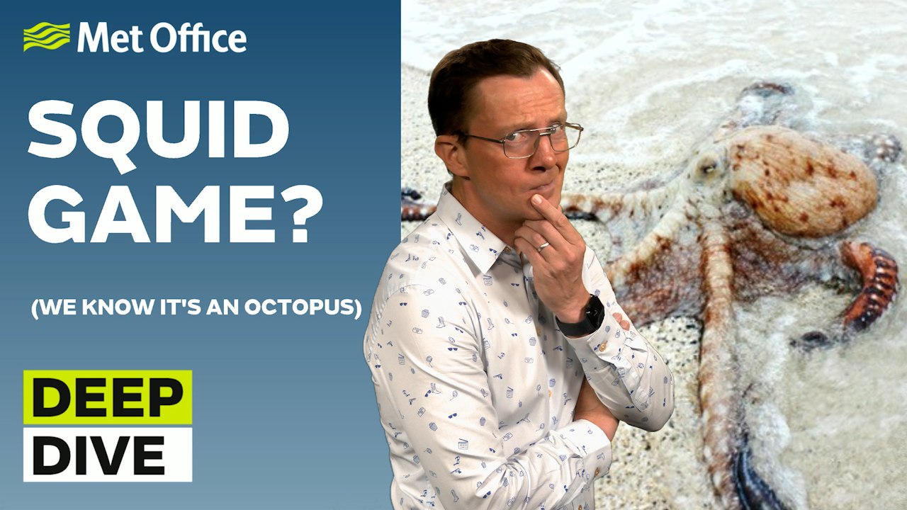 Deep Dive 21/07/2026 – Marine heatwaves are mak...