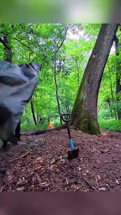 Real Survival boy Built a Hidden Shelter Inside a Hollow Leaning