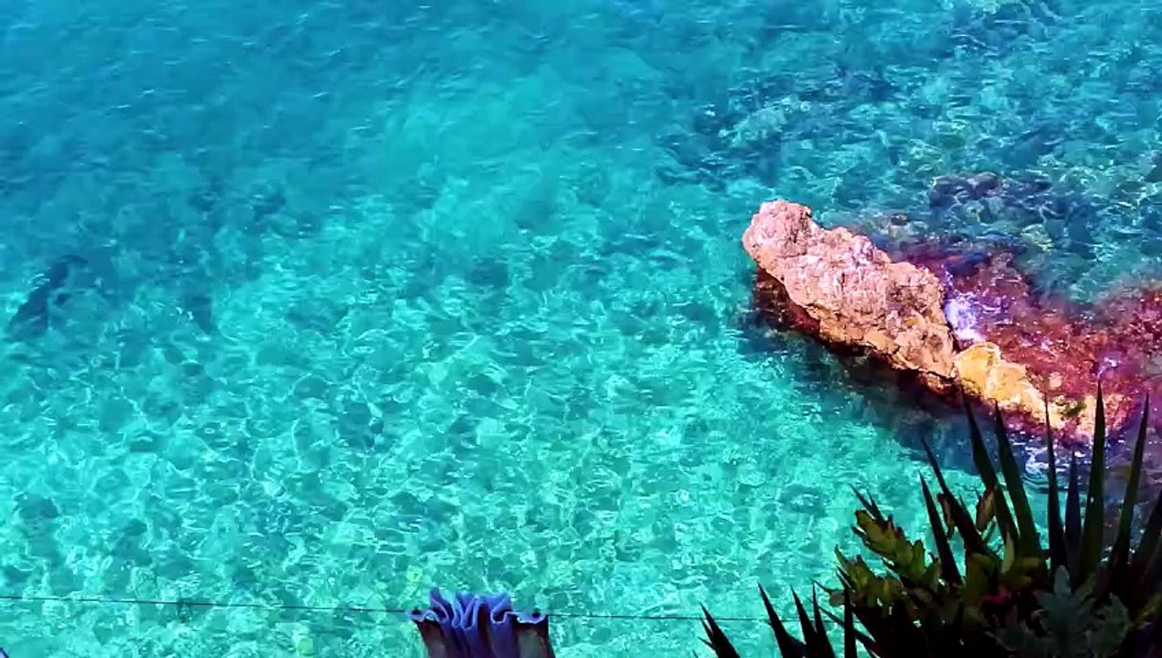 Côte d'Azur sublime