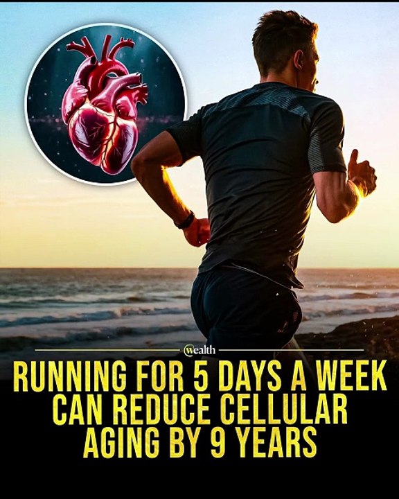 Running For 5 Days A Week Can Reduce Cellular Aging By 9 Years 🏃‍♂️⏳ #shorts #Health #Longevity #Fitness #Running #Wellness #Science