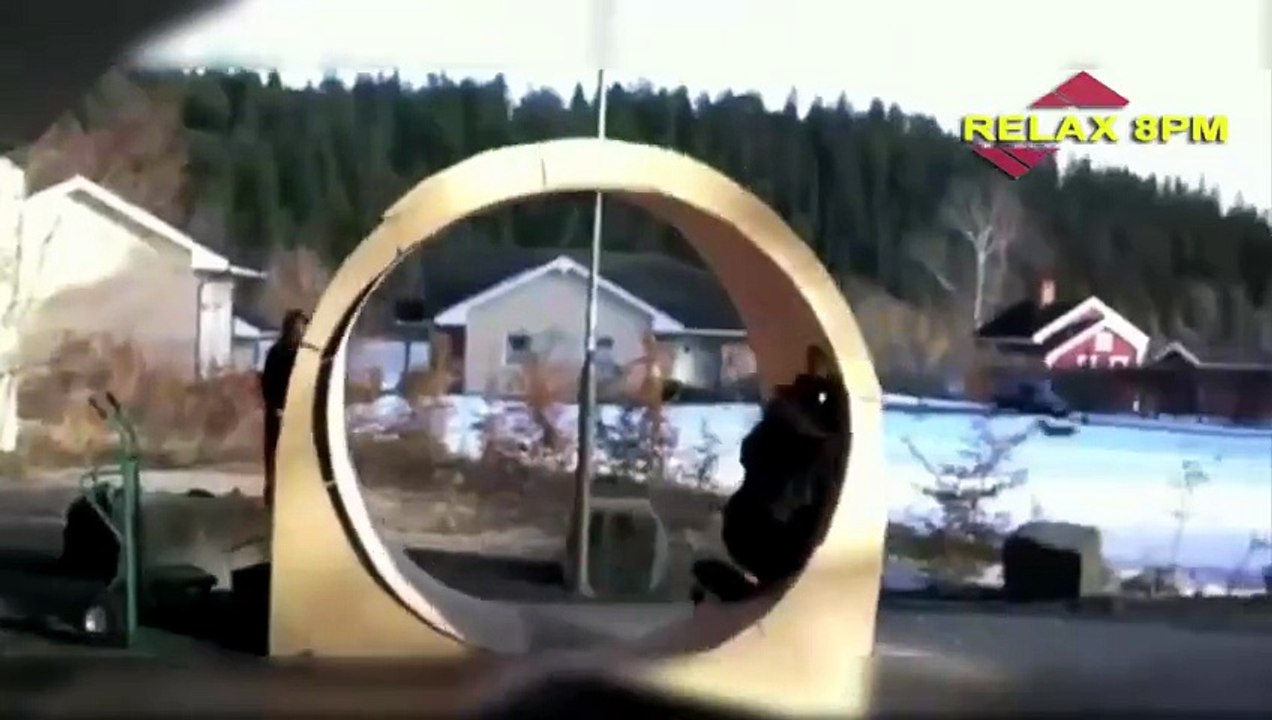 Funny Videos Funny Fails 2015 Funny Vines Funny...