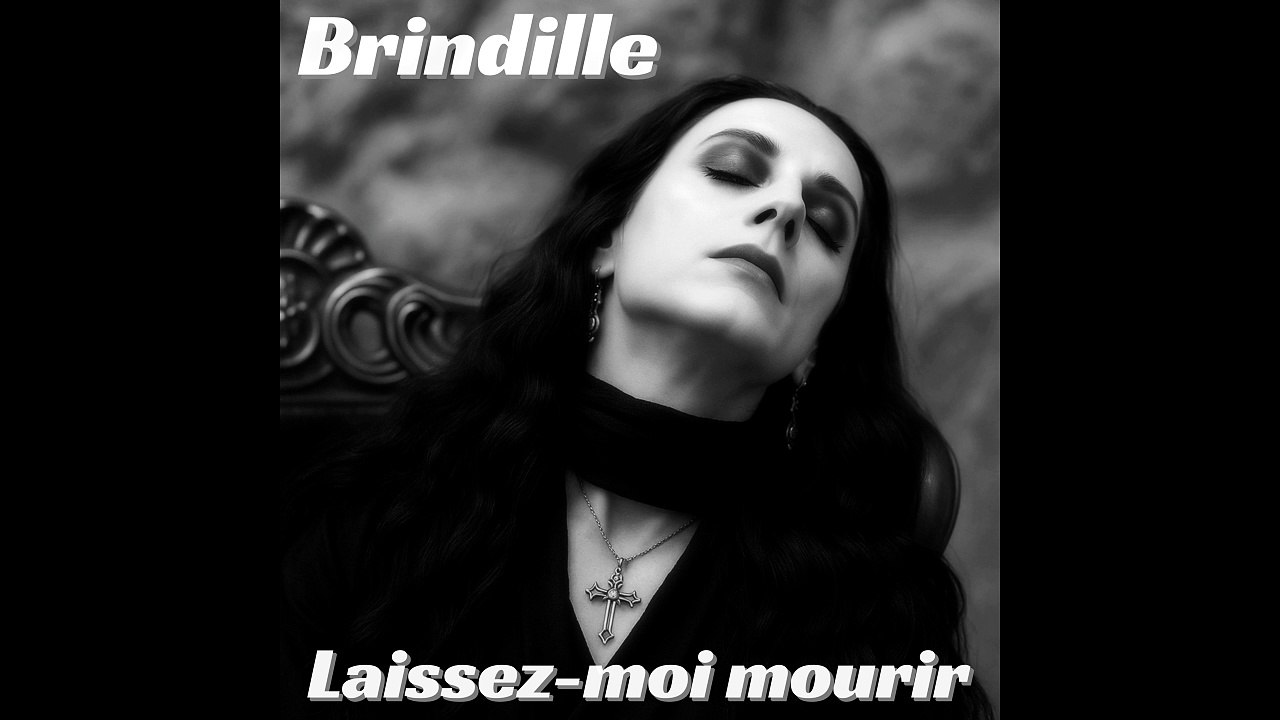 Laissez-moi mourir - Brindille