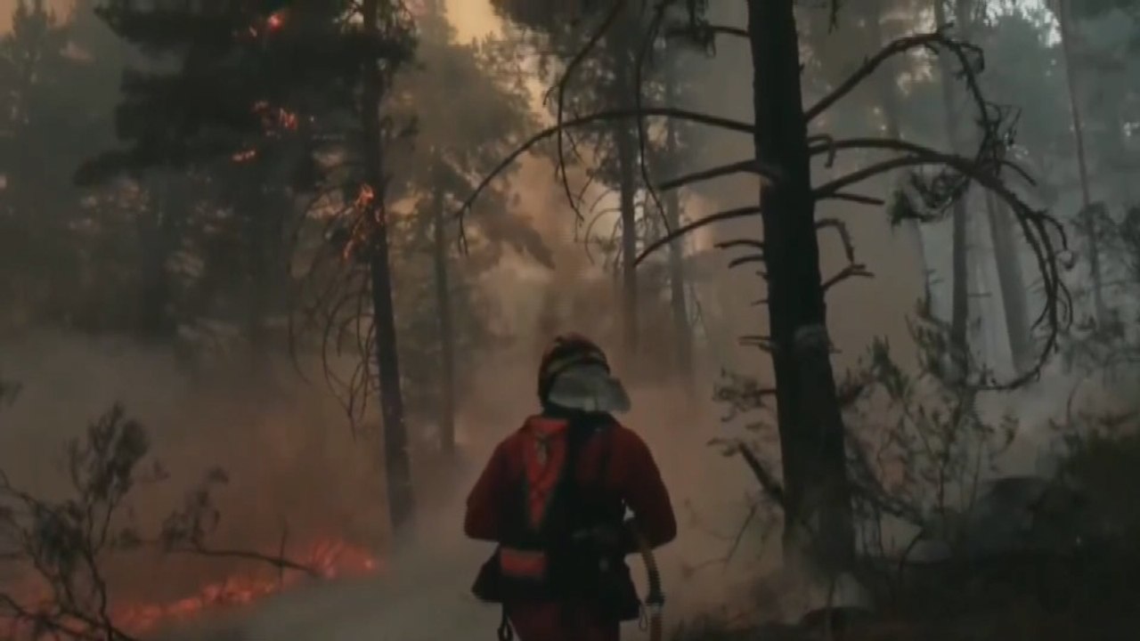 El dispositivo de extinción empieza a contener los flancos del incendio de Guadalajara