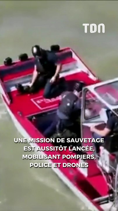 Un petit chien retrouvé vivant dans la baie de San Francisco après 12 jours d'errance