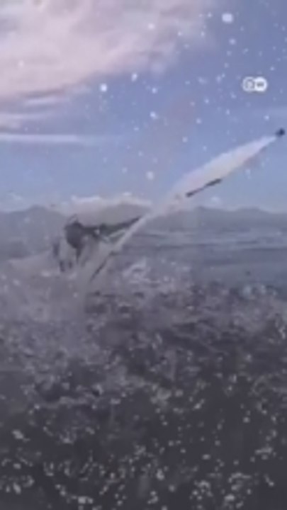 This robot helps solve the mystery of how diving birds move between air and water