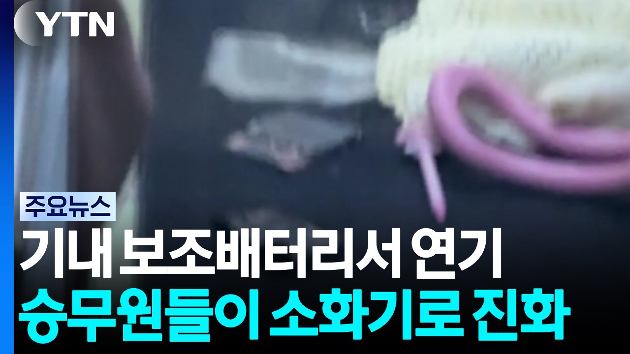 기내 보조배터리에서 연기 '아찔'...소화기로 진화 / YTN