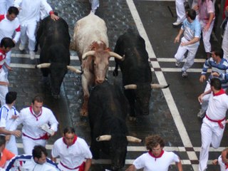 Encierro Pamplona, 7 Julio