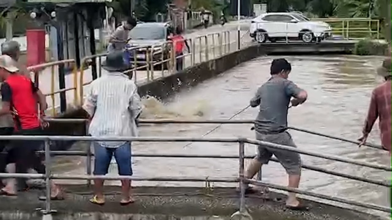 Urgent Rescue: Community Bands Together to Save Pregnant Cow from Flood