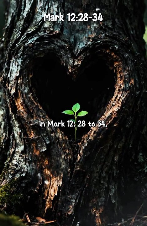 🙏 Powerful Good Afternoon Prayer | Love God with All Your Heart | Mark 12:28–34 ❤️