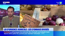 Loi d'urgence agricole : les Lyonnais divisés