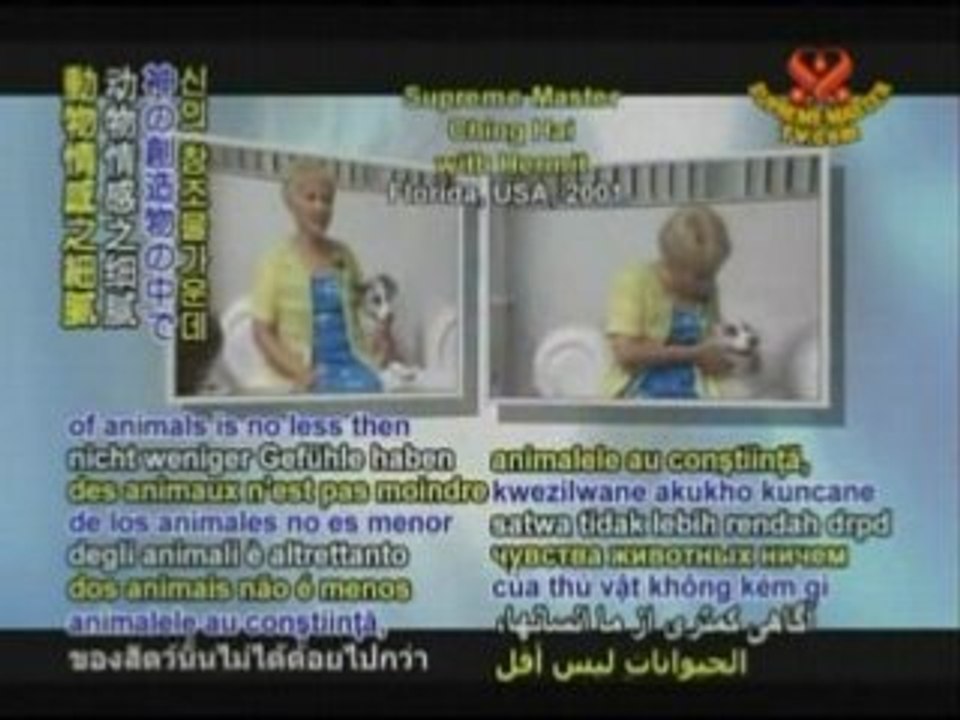 Vegan Radio Personality - Bob Linden - Part 2