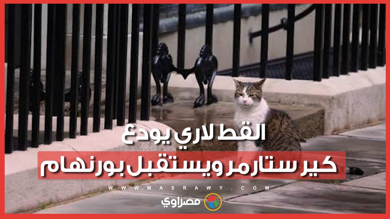 القادة يرحلون ولاري باقٍ.. القط الشهير يستقبل سابع رئيس وزراء في "داونينج ستريت"
