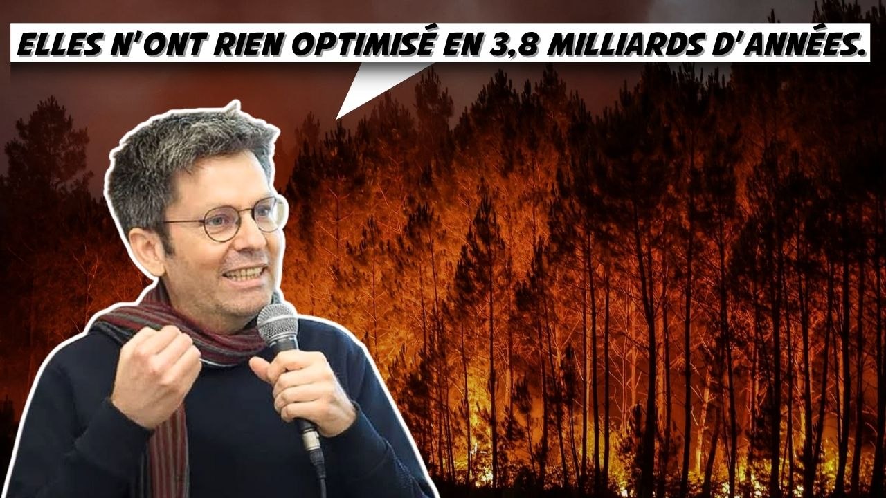Pourquoi les plantes sont vertes ?