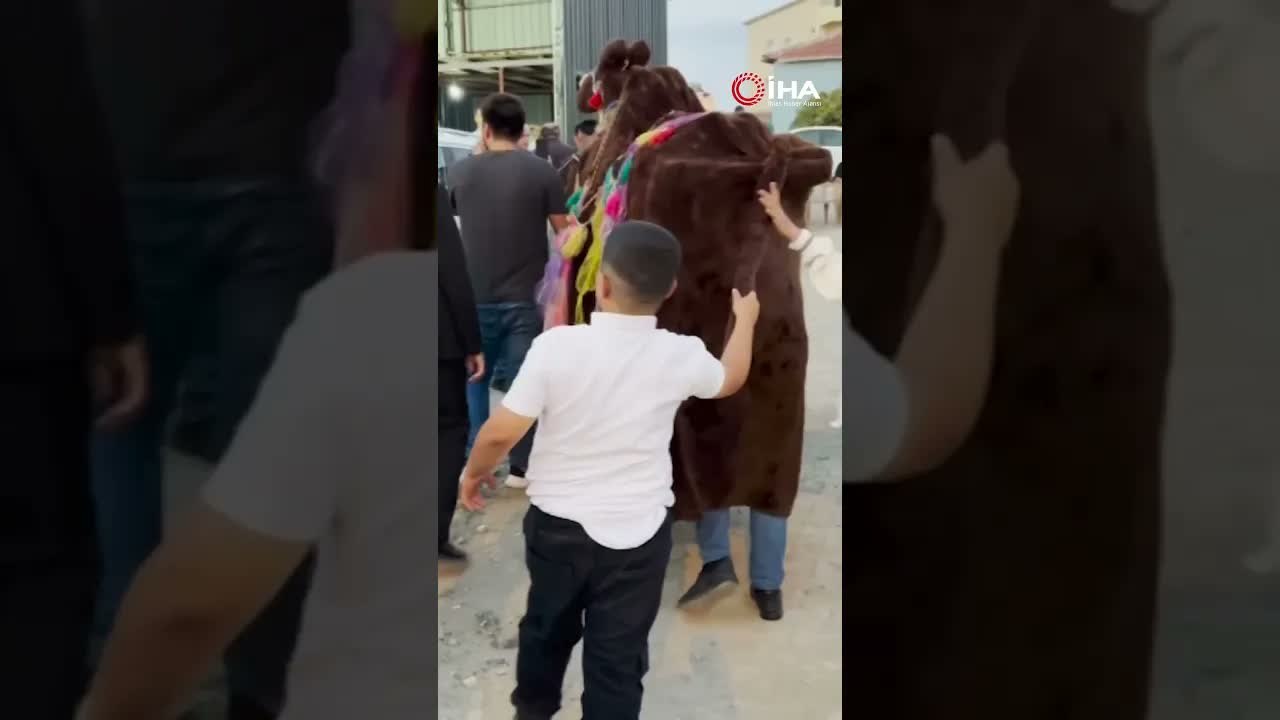 Unutulmaya yüz tutan Türkmen geleneği, düğünde eğlenceli anlar yaşattı