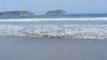 Samara Beach, Pacific Coast, Costa Rica