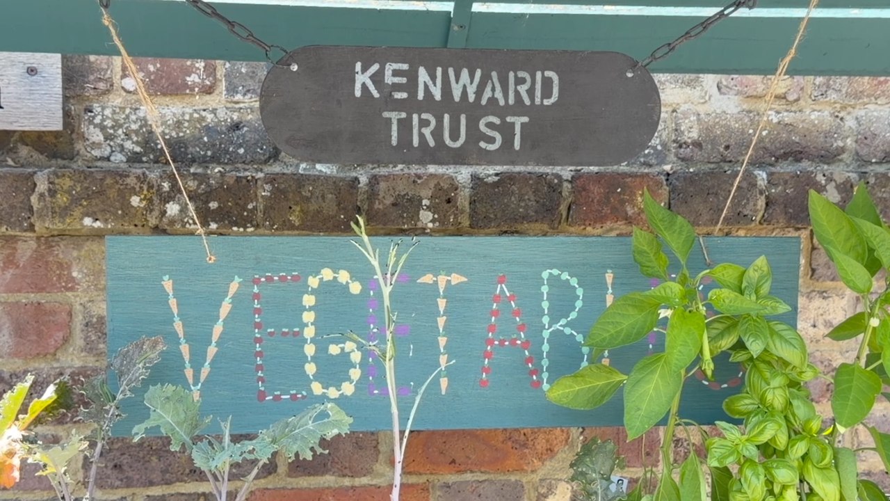 Young people seeking support for ketamine addiction in Kent doubles