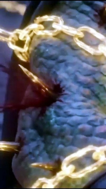 The Penultimate Sword of the Loser Knight - Full - Hot 🔥🔥🔥FULL MOVIES ENGLISH SUB 2026 [Full Movie]