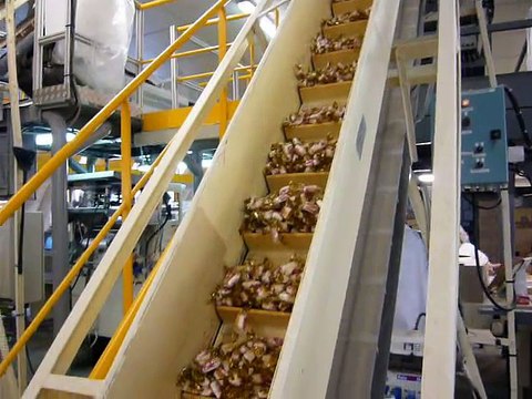 Les dessous des Bêtises de Cambrai (4)