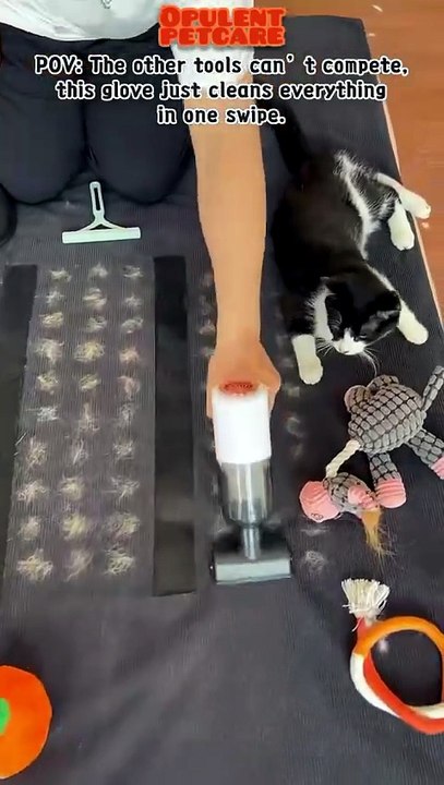 Pet Hair Removal Mitt – $8 Flash Sale, Removes Pet Hair Better Than Squeegees or Vacuums