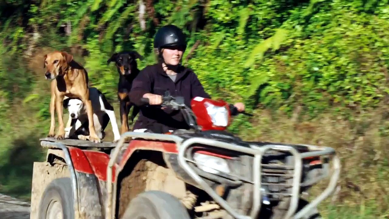 Country Calendar S61E21