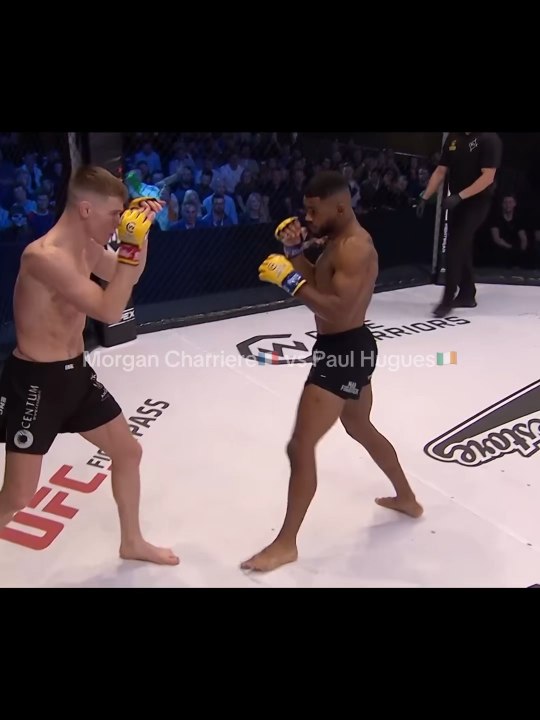 🇫🇷🇮🇪