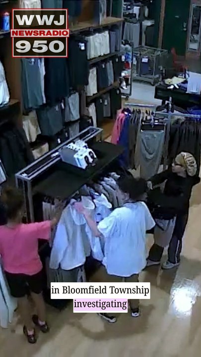 8 wanted in flash mob-style robbery at Dick's in Bloomfield Township