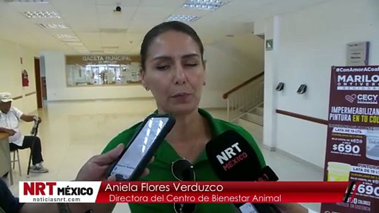 Refuerzan esterilizacionesy prevención del maltrato