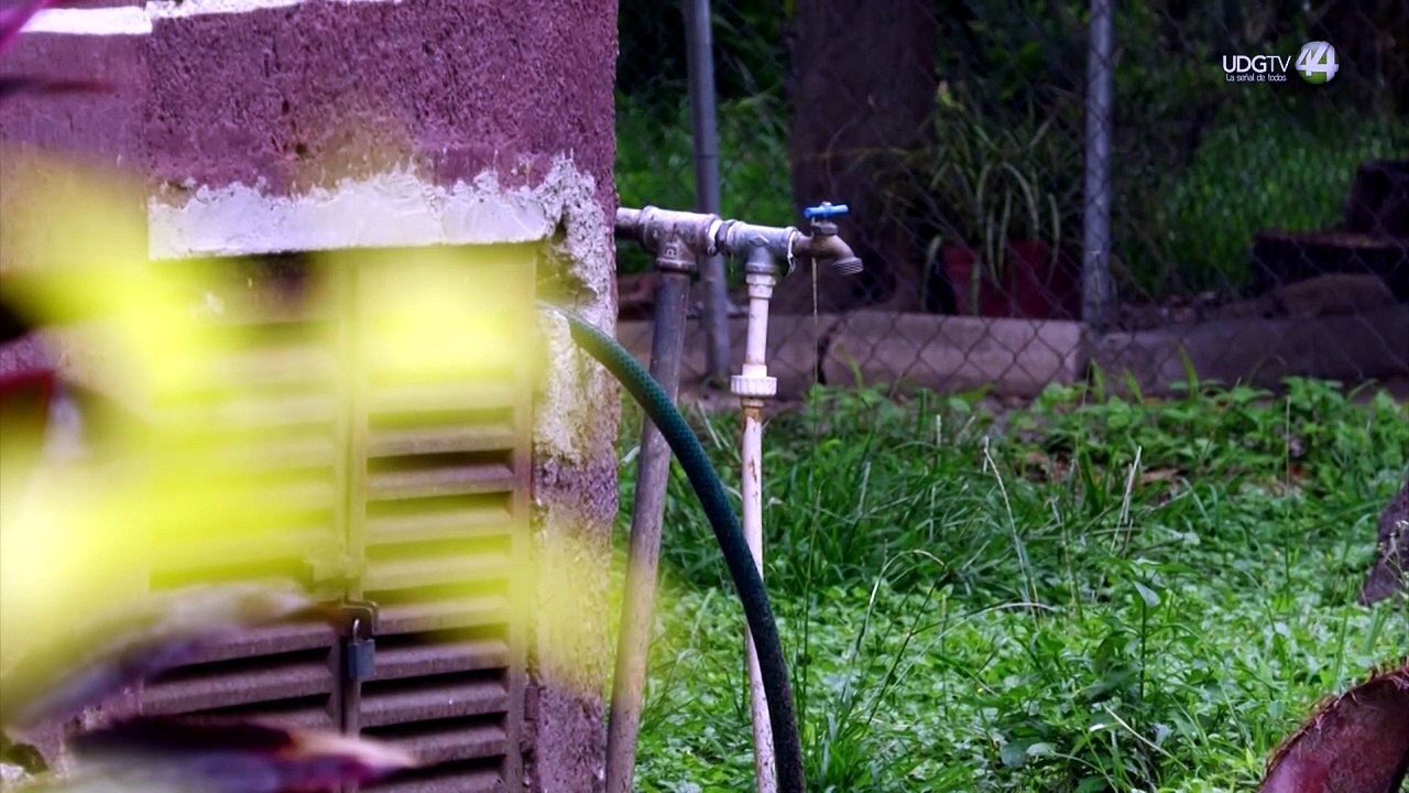 Llevan al Congreso 31 mil firmas contra el cobro de agua de mala calidad