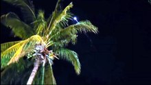 Meteor Lights Up Over Caribbean