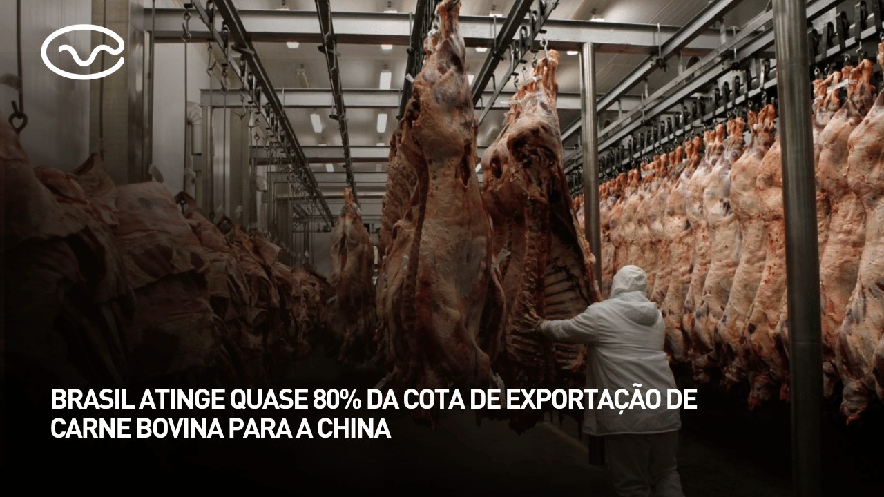 Brasil atinge quase 80% da cota de exportação de carne bovina para China