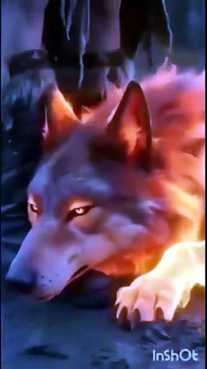 The Lycan Queen Will Rise HD Watch Till The End | Full Short Drama | English Sub 2026 [Full Movie]