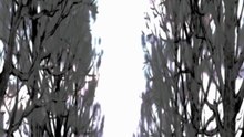 Seihantai na Kimi to Boku 2nd Season episodio 3
