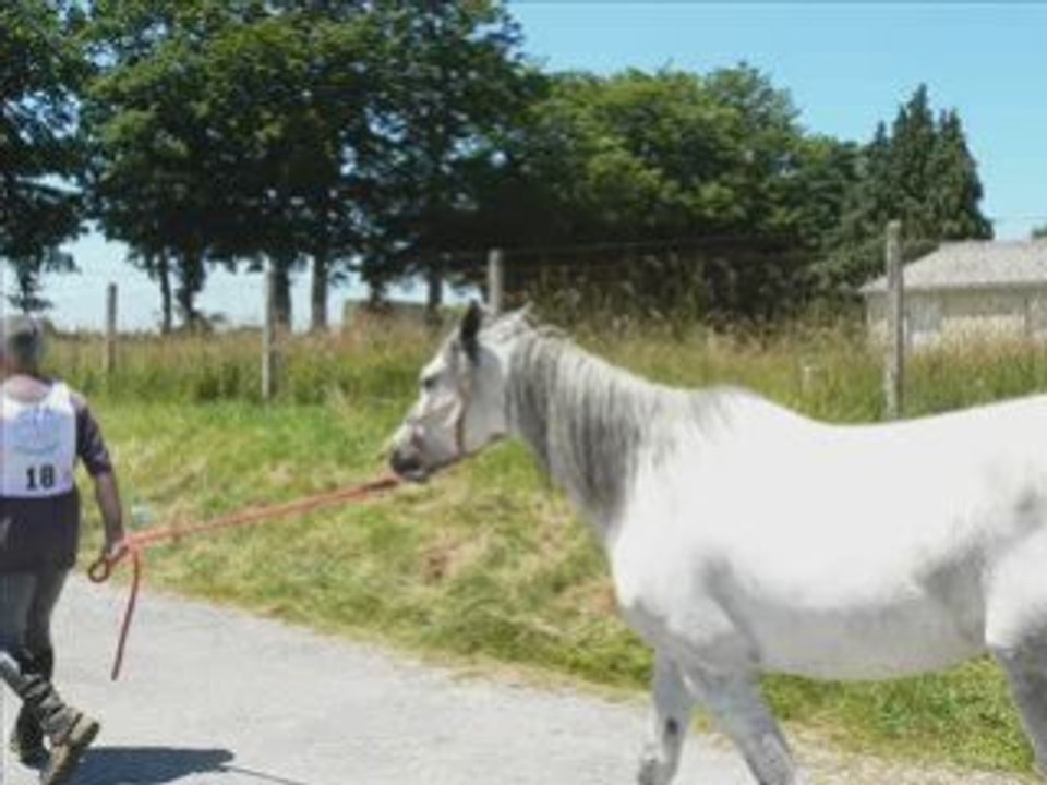 Endurance 2008_0001