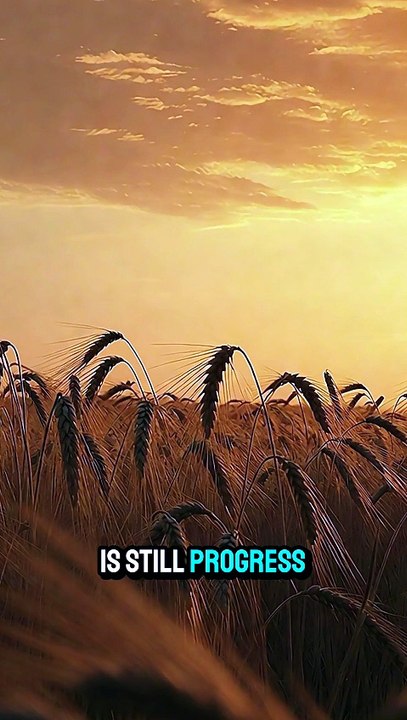 Growth begins where comfort ends and commitment takes the lead (14)
